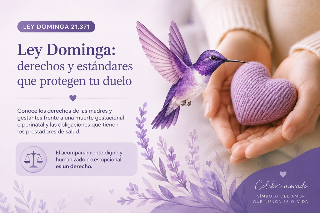Ley dominga Negligencia
